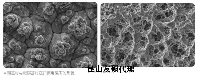 五指山蔡司五指山扫描电镜