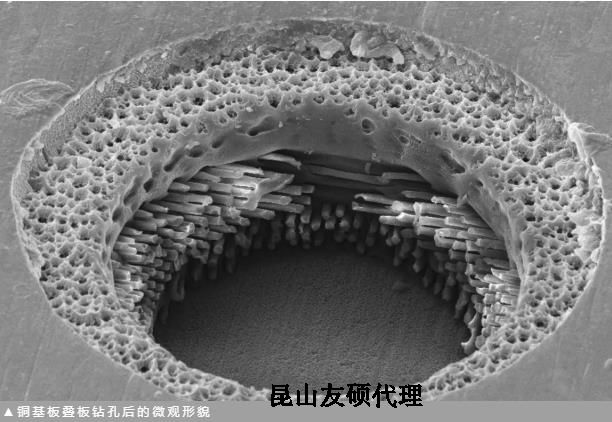 五指山蔡司五指山扫描电镜
